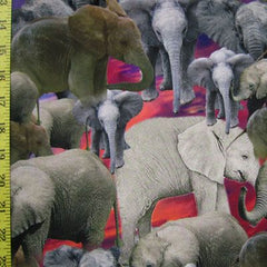 Elephants