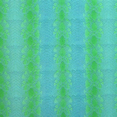 Snake Skin