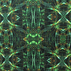 Printed Spandex