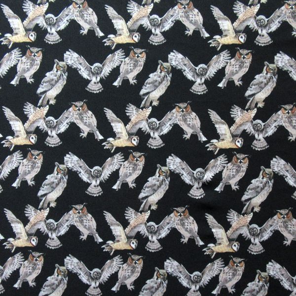 Owl