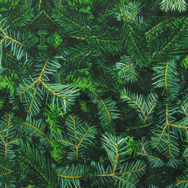 Leaf