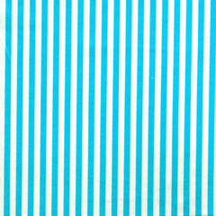 1/4 inch Vertical Stripe (Shiny)