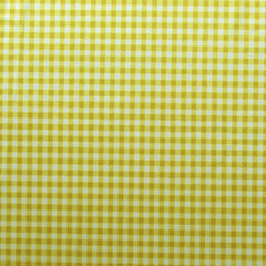 Gingham Print