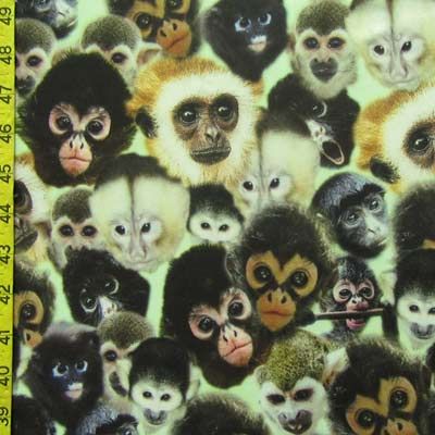 Monkeys