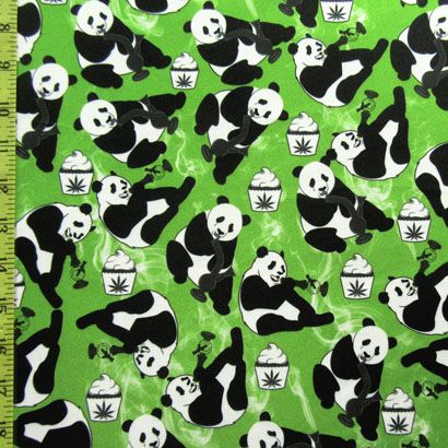 Giant panda
