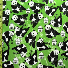Giant panda