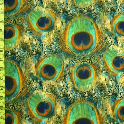 Peacock Feather