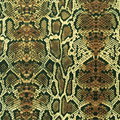 Snake Skin