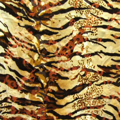 Jungle Zebra