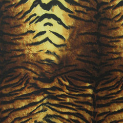 Animal / Tiger Print