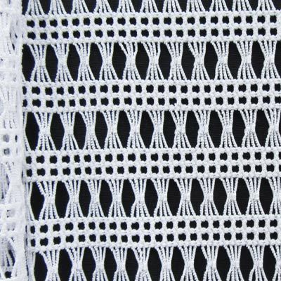 Fancy Net Fabric