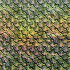 Holographic Fish Scale Spandex Fabric