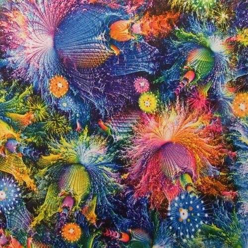 Pandora Jungle