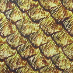 Fish Scale Print Spandex Fabric