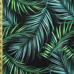 Leaf