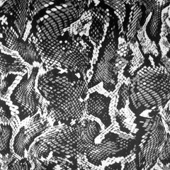 Printed Velvet