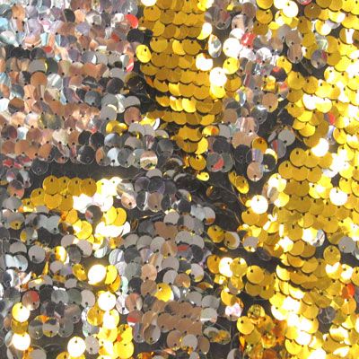 Reversible Sequins