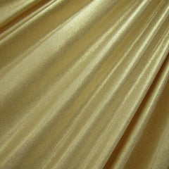 Metallic Slinky