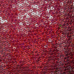 Sequins on Mesh