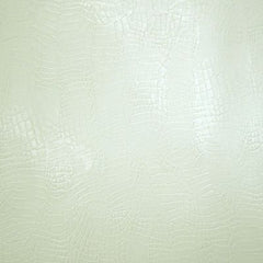 Crocodile Skin