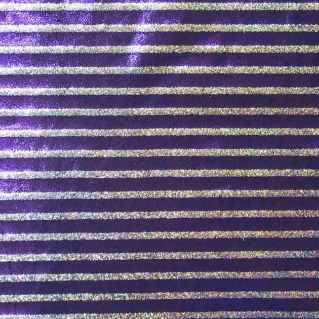 3D Holographic Display Projector