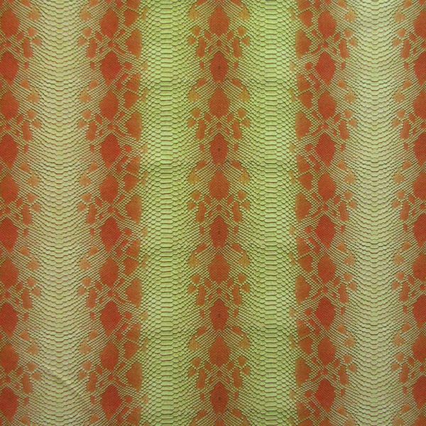 Snake Skin
