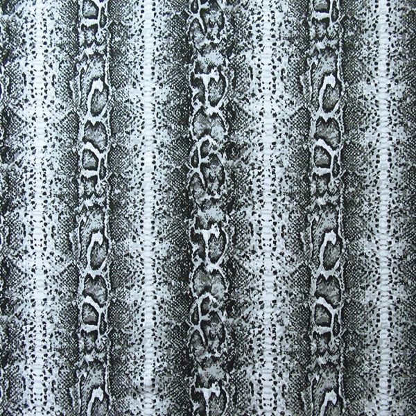 DS2181- Snake Skin