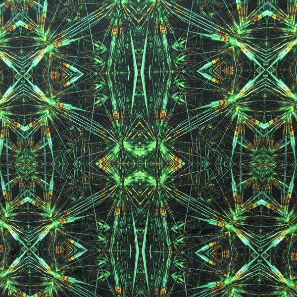 Printed Spandex