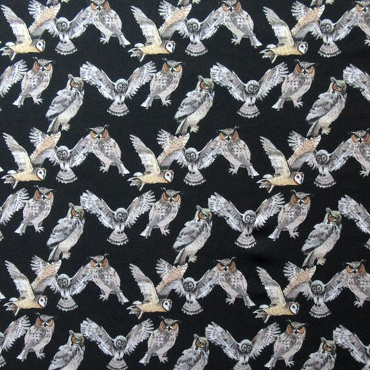 Owl