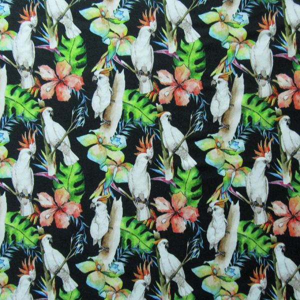 Parrots
