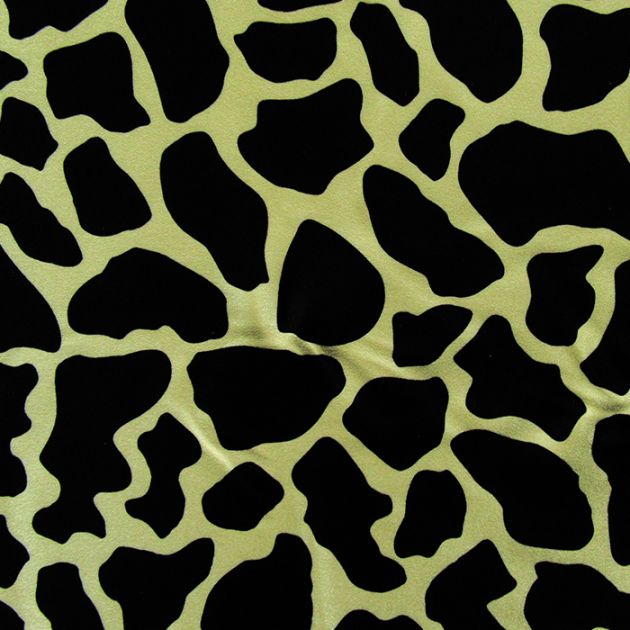 Cow Skin
