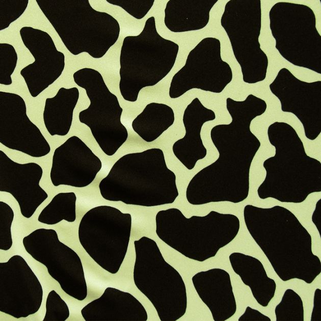 Cow Skin