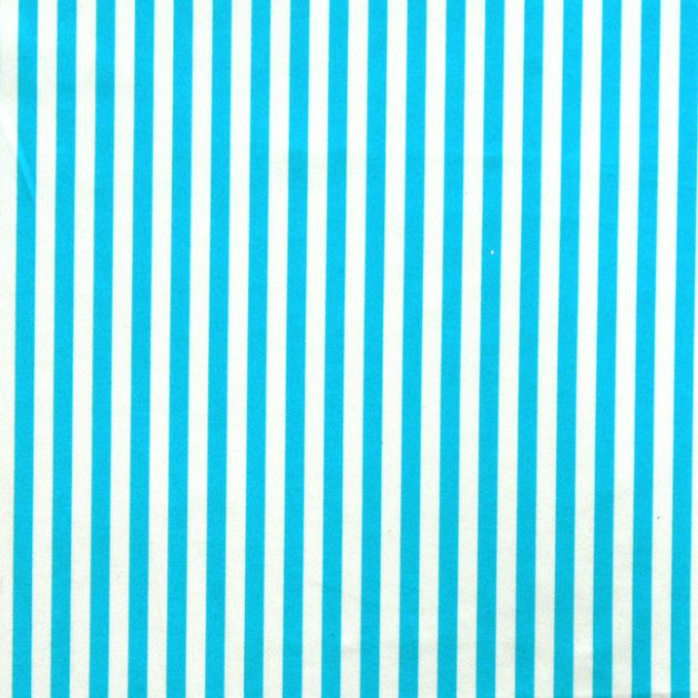 1/4 inch Vertical Stripe (Shiny)