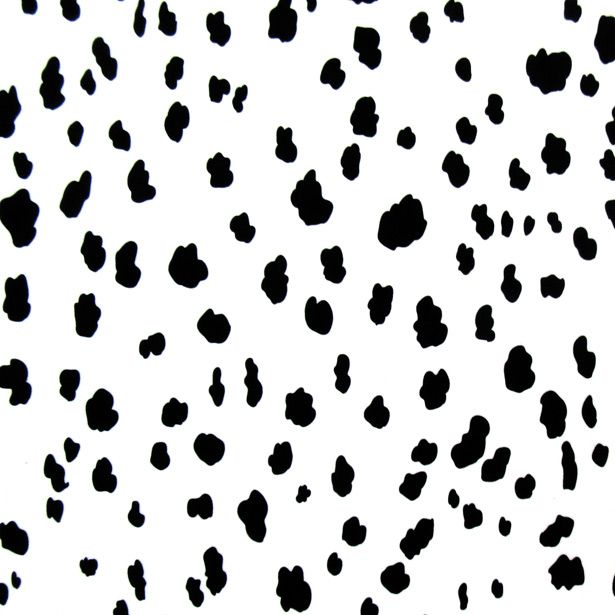 Dalmatian