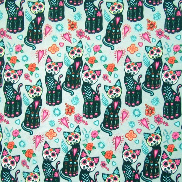Cats