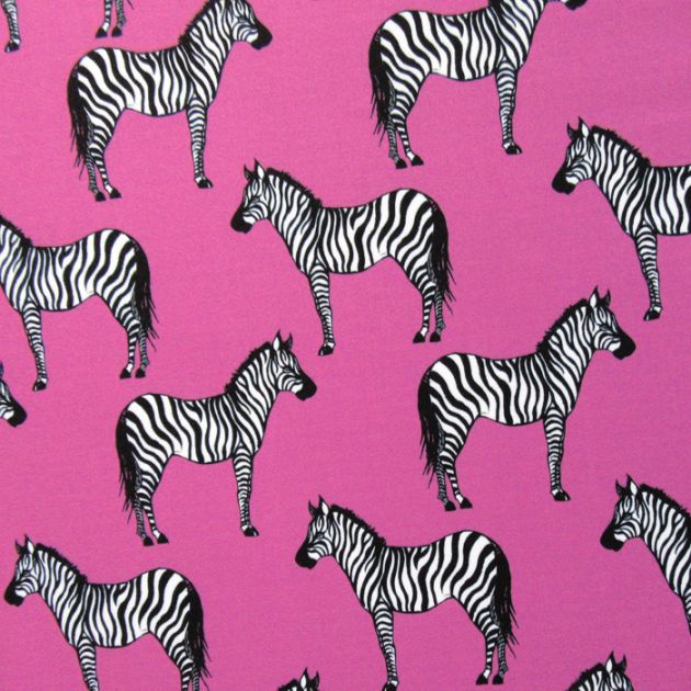 Zebra