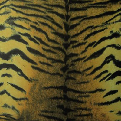 Tiger Skin
