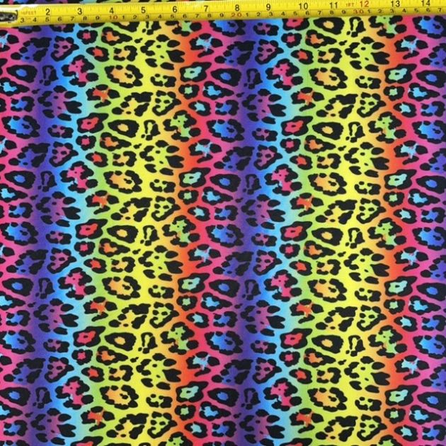 Rainbow Leopard