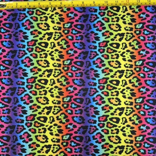 Rainbow Leopard