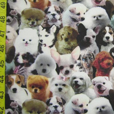 Puppies