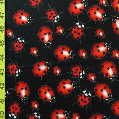 Lady Bug