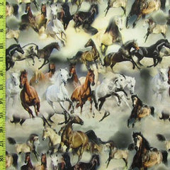 Horses