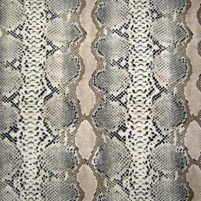 Snake Skin
