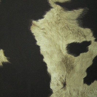 Cow Skin