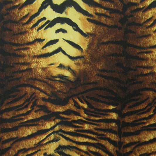 Animal / Tiger Print