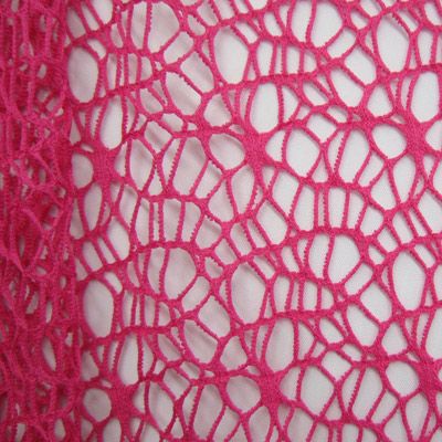 Fancy Net Fabric