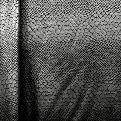 Anaconda Metallic Collection: Textured, Shimmering, and Iridescent Fabric Variants