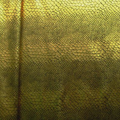 Anaconda Metallic Collection: Textured, Shimmering, and Iridescent Fabric Variants
