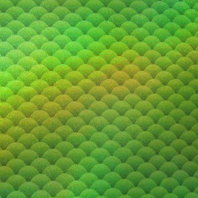 Holographic Fish Scale Spandex Fabric
