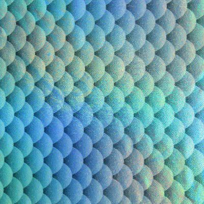 Holographic Fish Scale Spandex Fabric